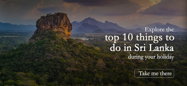 top 10 things to do in sri lanka for winter vacation