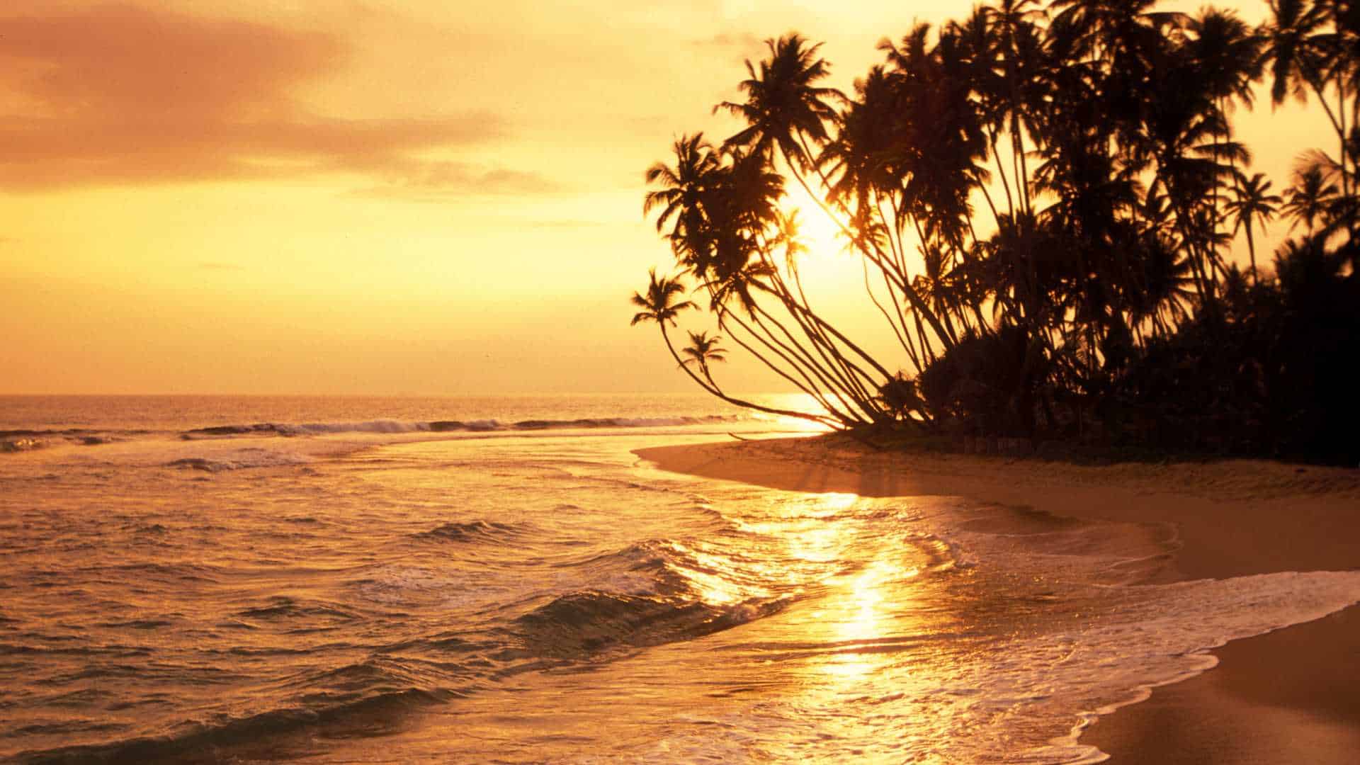 visit Sri Lanka