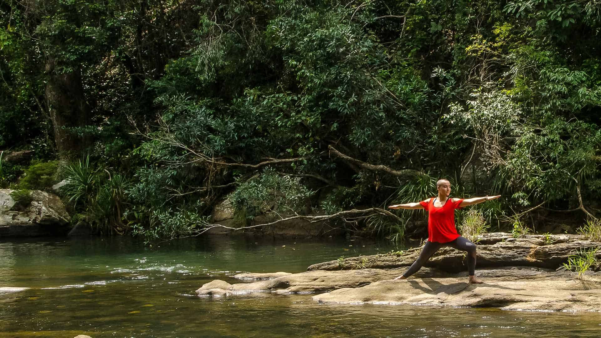 Ayurveda retreats