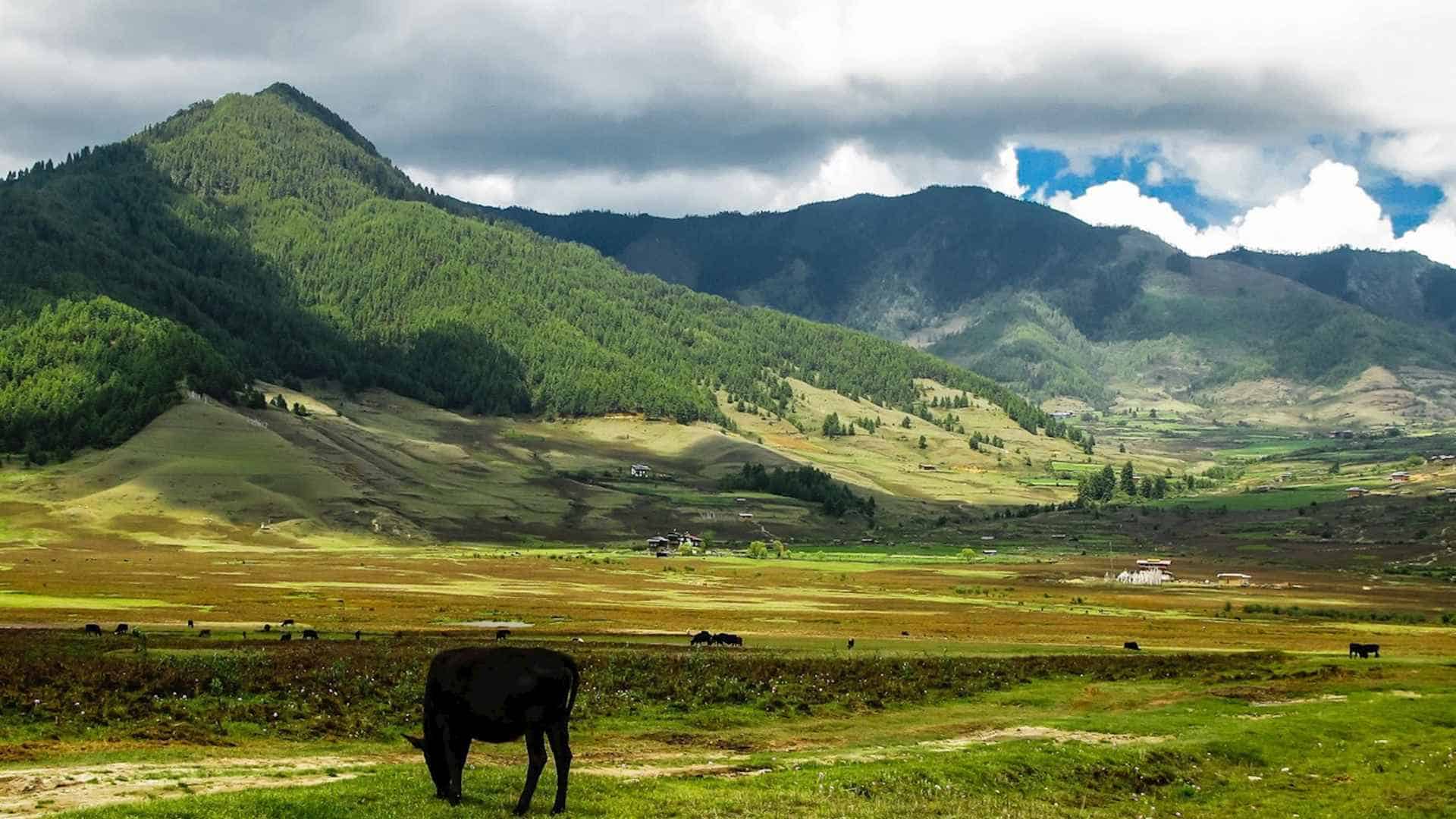 Phobjikha Valley