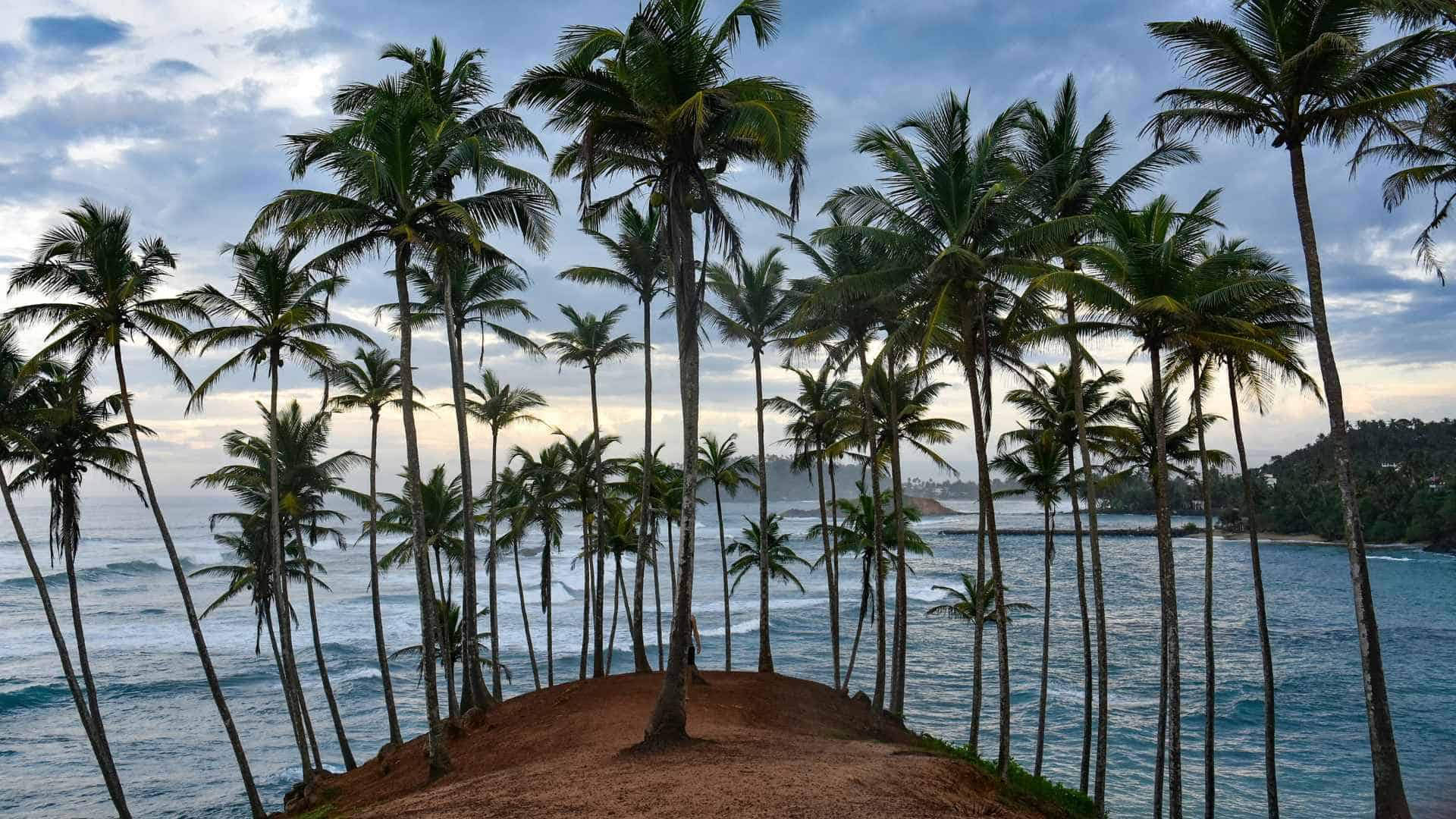 mirissa sri lanka