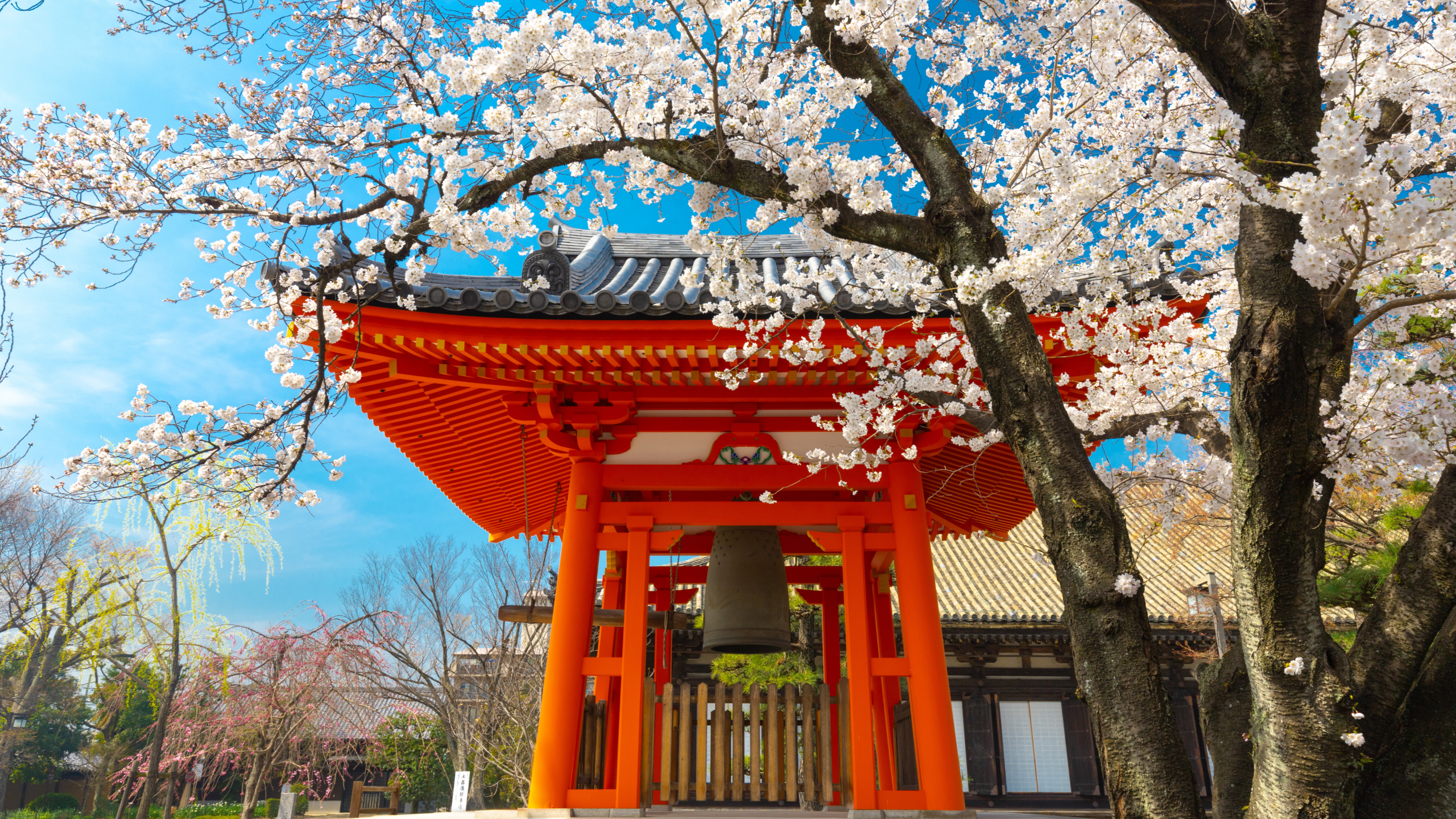Japan, one of the best asian countries to visit in August