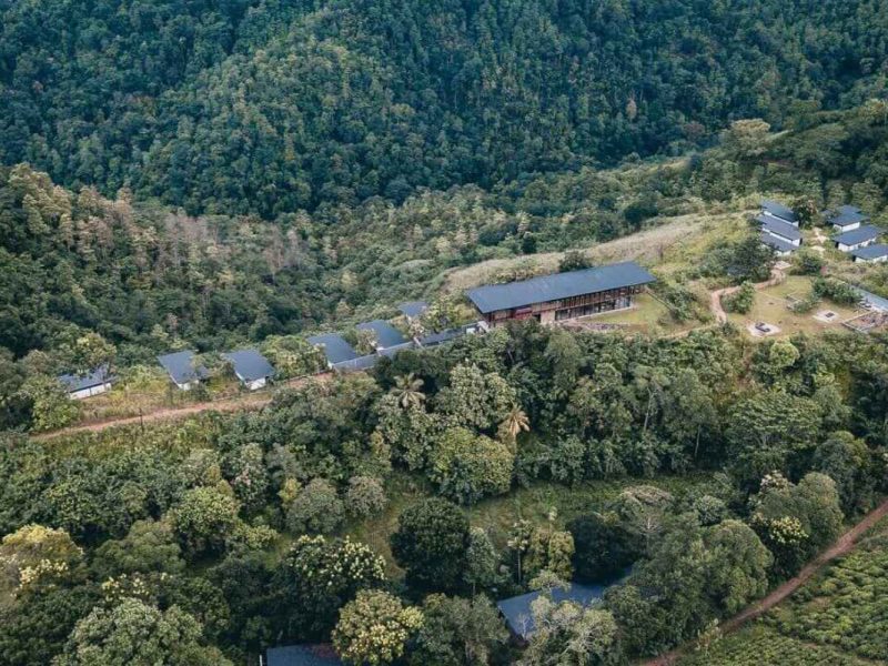Best Time of the Year to Travel to Sri Lanka