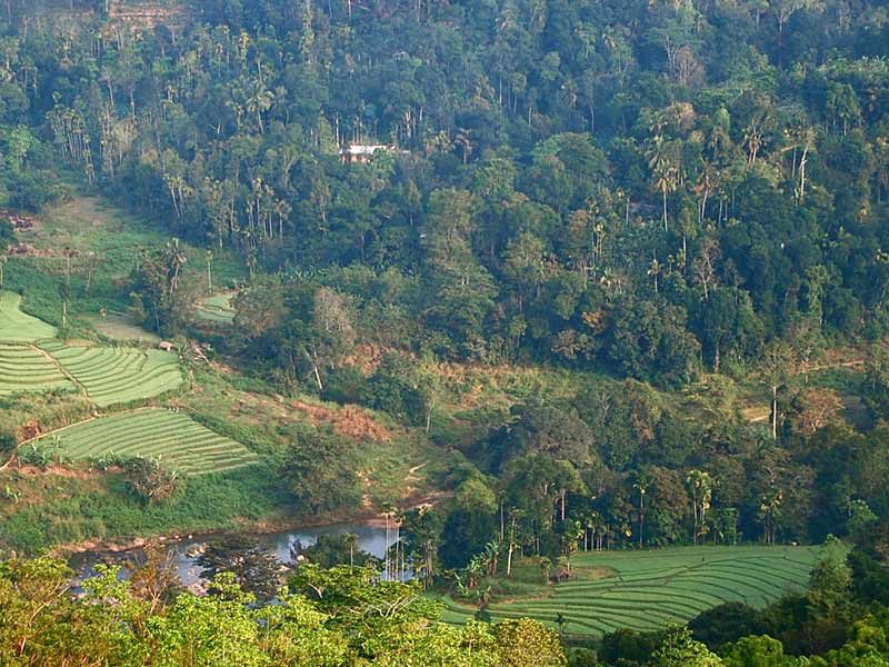 the-top-21-destinations-for-2016-sri-lanka